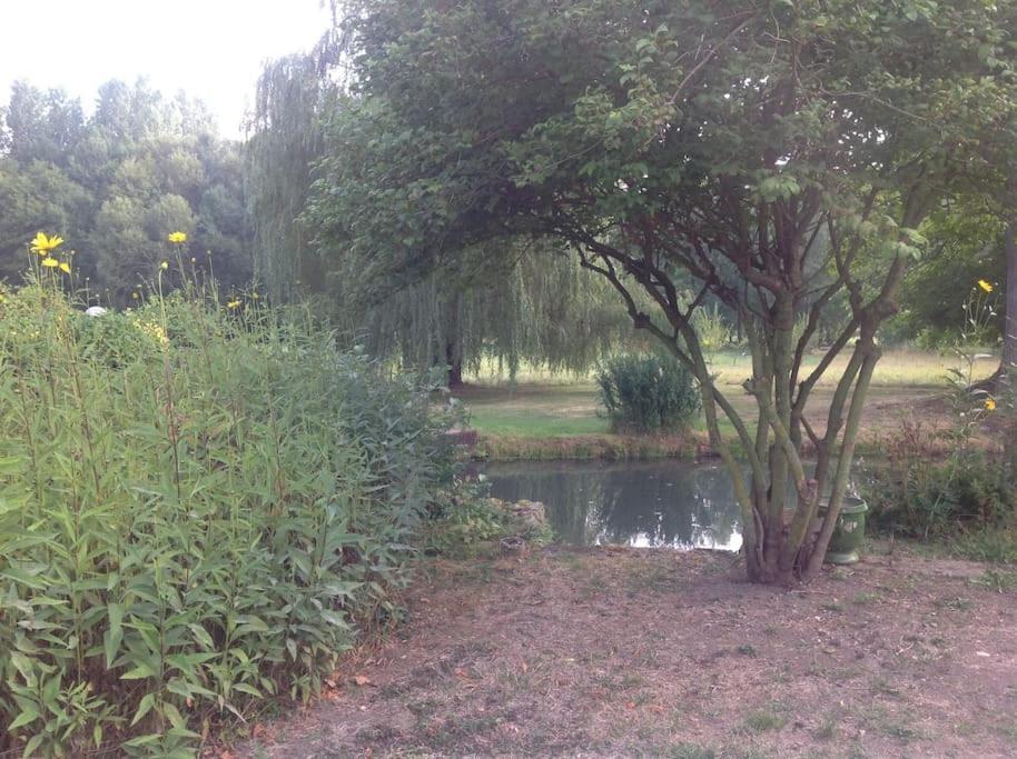 Le Foulon - Moulin De Charme - 1 Heure 30 De Paris Villa Saint-Hilaire-les-Andresis Buitenkant foto