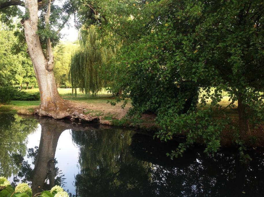 Le Foulon - Moulin De Charme - 1 Heure 30 De Paris Villa Saint-Hilaire-les-Andresis Buitenkant foto