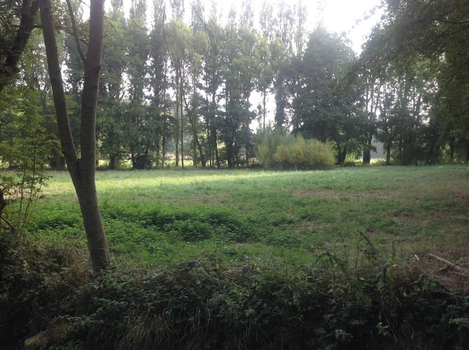 Le Foulon - Moulin De Charme - 1 Heure 30 De Paris Villa Saint-Hilaire-les-Andresis Buitenkant foto