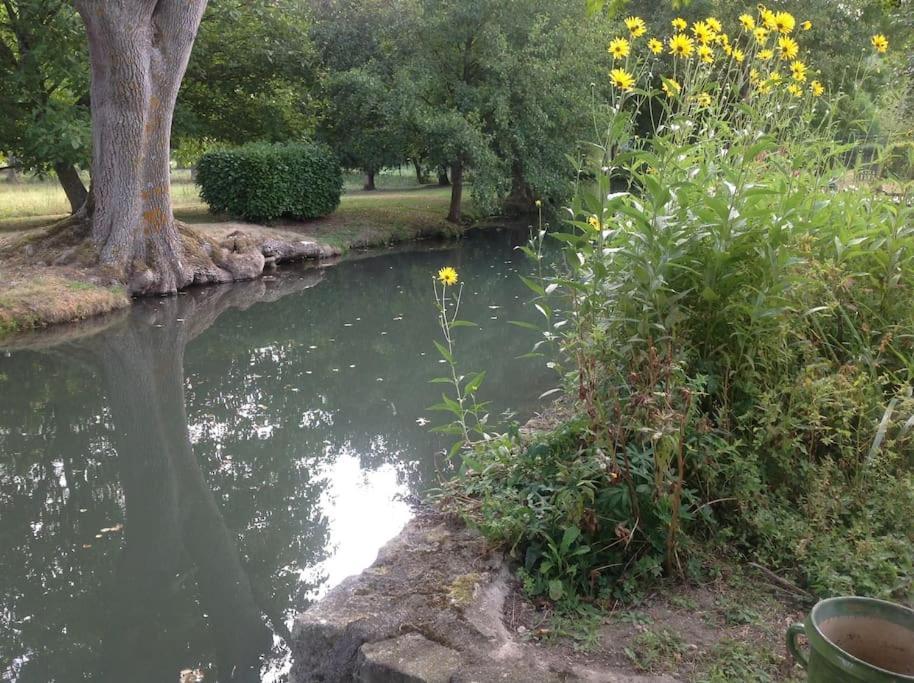 Le Foulon - Moulin De Charme - 1 Heure 30 De Paris Villa Saint-Hilaire-les-Andresis Buitenkant foto