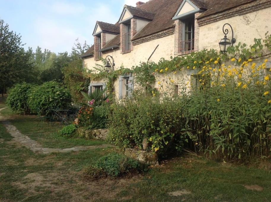 Le Foulon - Moulin De Charme - 1 Heure 30 De Paris Villa Saint-Hilaire-les-Andresis Buitenkant foto