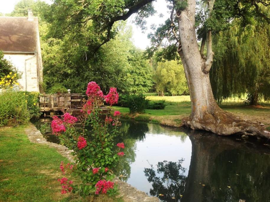 Le Foulon - Moulin De Charme - 1 Heure 30 De Paris Villa Saint-Hilaire-les-Andresis Buitenkant foto